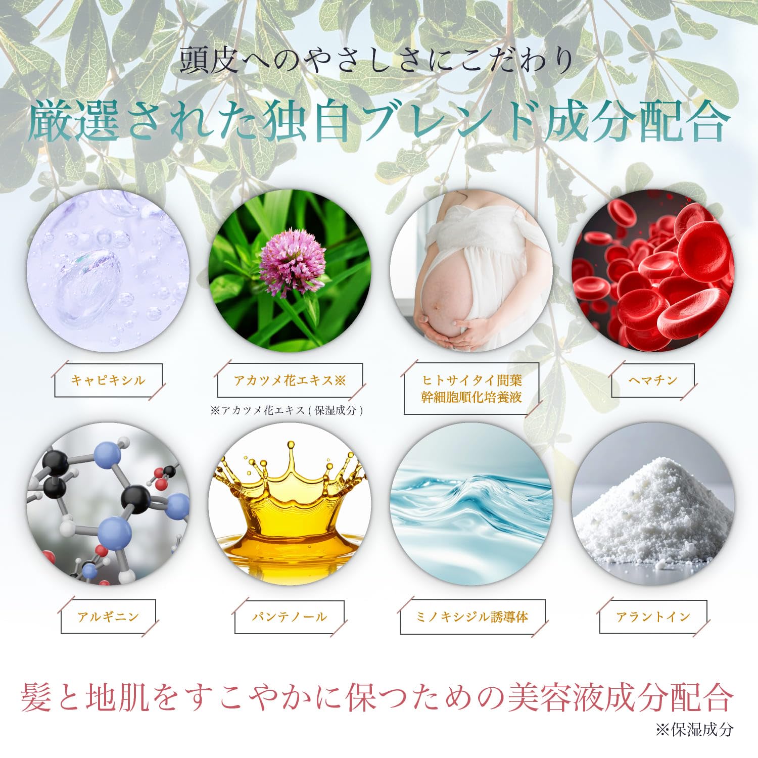 Amazon | ヒト幹細胞 スカルプ キャピキシル ミライナル SCシャンプー